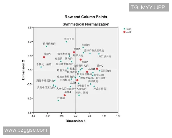 体育品牌理论的核心概念与发展趋势分析及其市场影响探讨