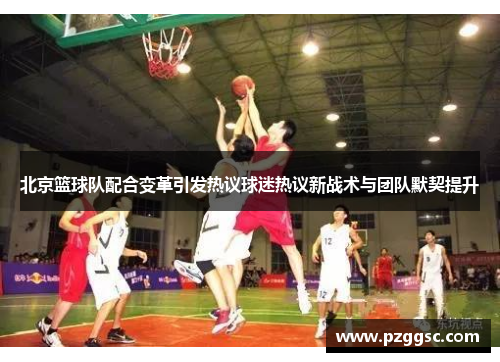 北京篮球队配合变革引发热议球迷热议新战术与团队默契提升