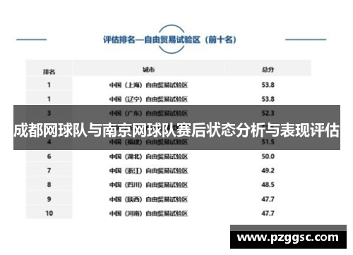 成都网球队与南京网球队赛后状态分析与表现评估
