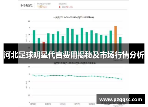 河北足球明星代言费用揭秘及市场行情分析